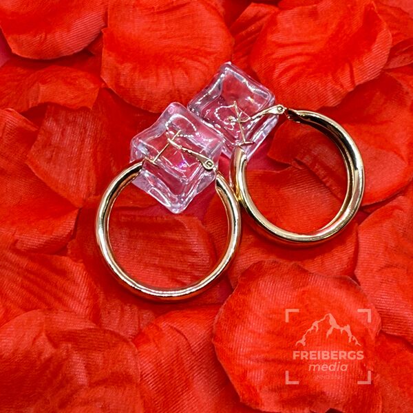 Produktu foto, auskari